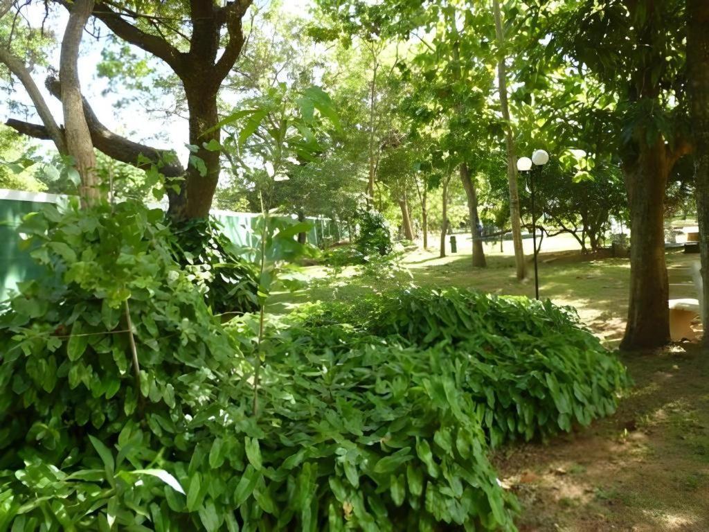 Saji-Sami Hotel Anuradhapura Buitenkant foto