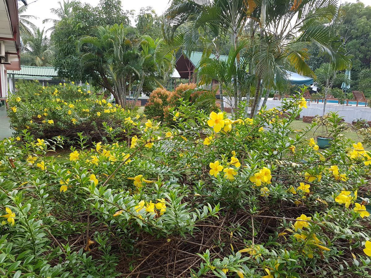 Saji-Sami Hotel Anuradhapura Buitenkant foto